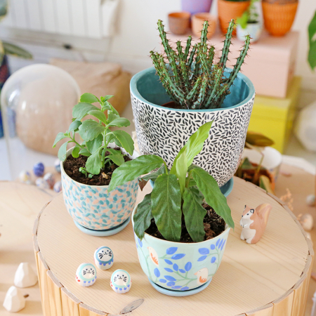 Pot "Rainforest" + coupelle... 2