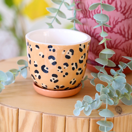 Flower pot "Leopard" + matching plate