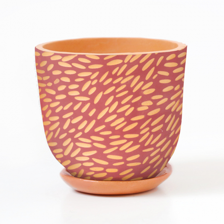 Pot terracotta "Riz rose" +...