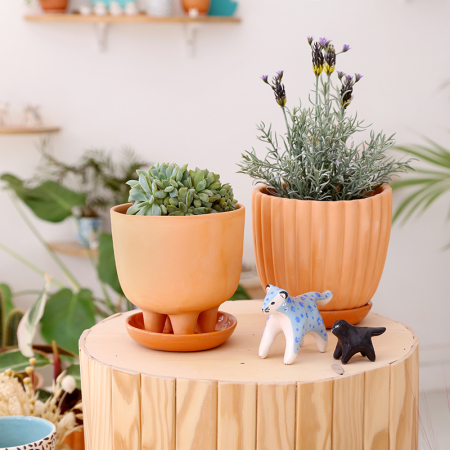 Big terracotta pot "Tuli" +... 2