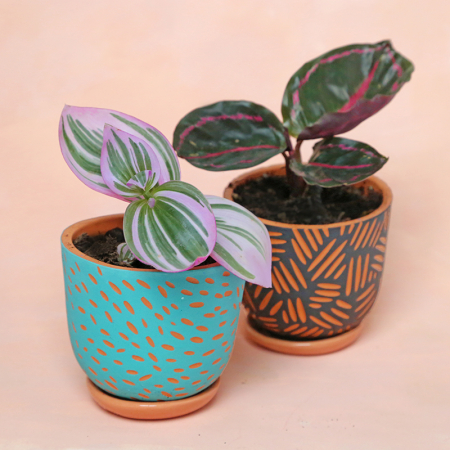 Pot terracotta "Mojave" +... 2