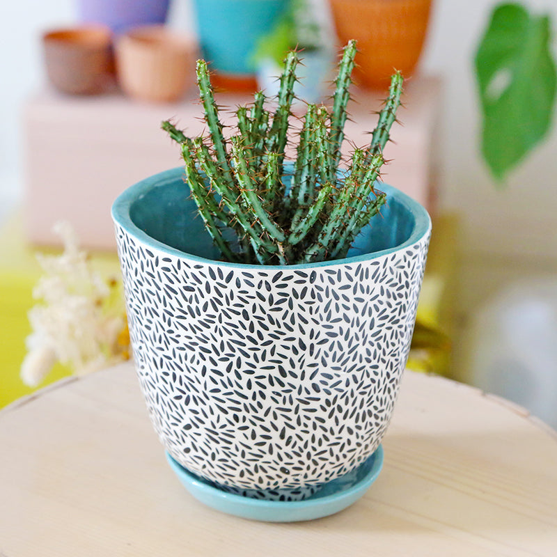 Large "Basmati" pot + matching plate