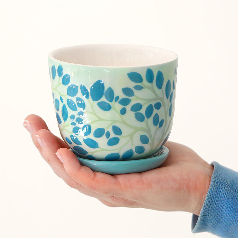 "Canopy" pot + matching plate