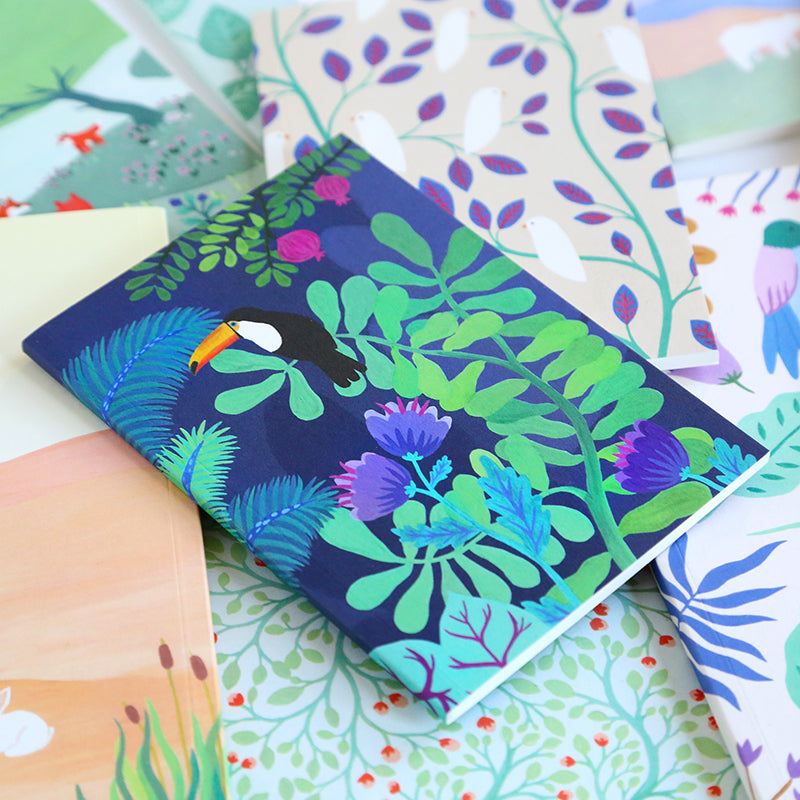 Petit Carnet - Le rêve du toucan