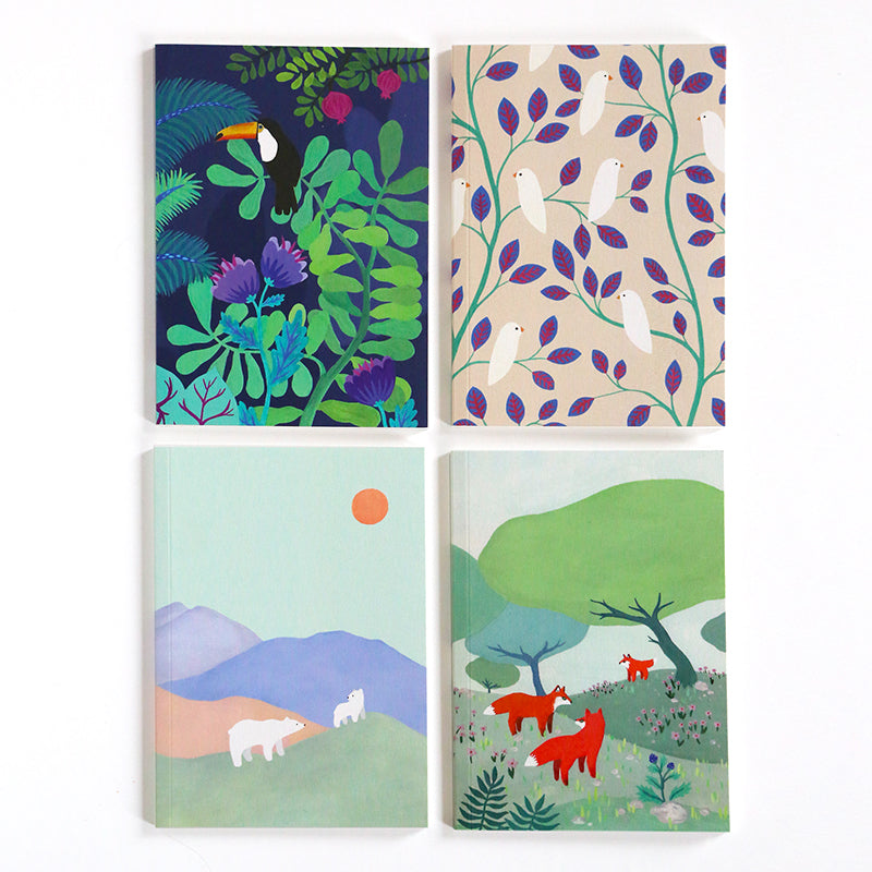 Petit Carnet - Le rêve du toucan