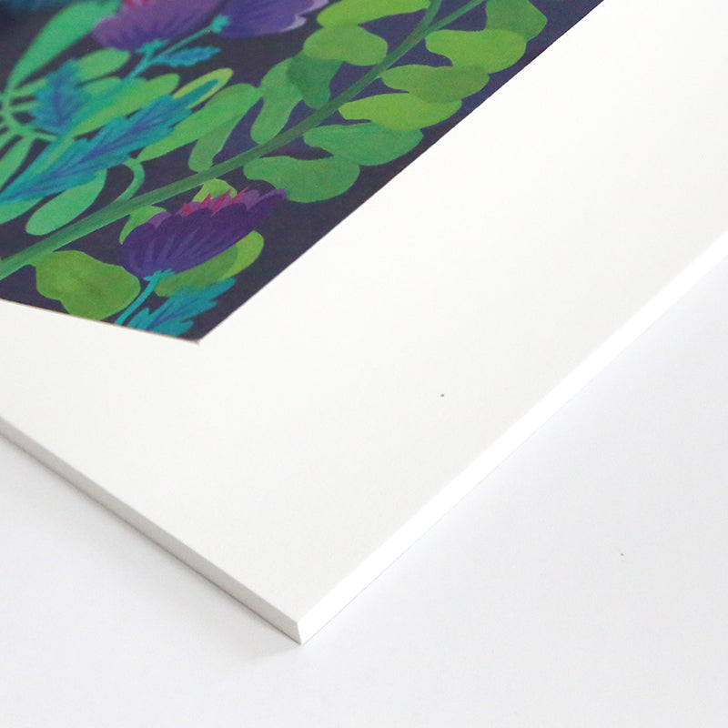 Petit Carnet - Le rêve du toucan