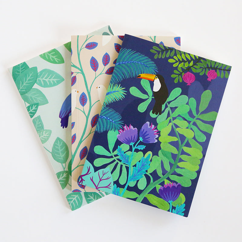 Petit Carnet - Le rêve du toucan