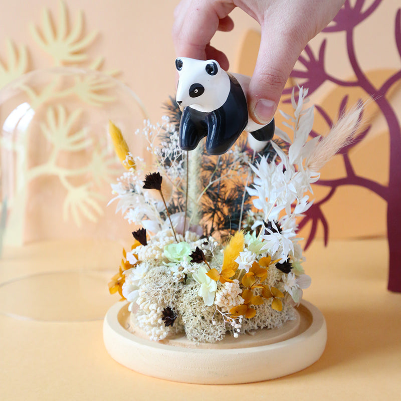 Dome - The Panda and the winter desert