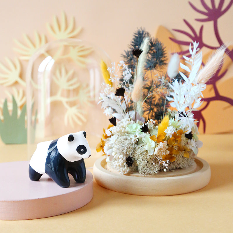 Dome - The Panda and the winter desert