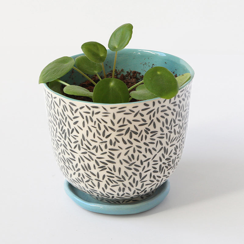 "Basmati" pot + matching plate
