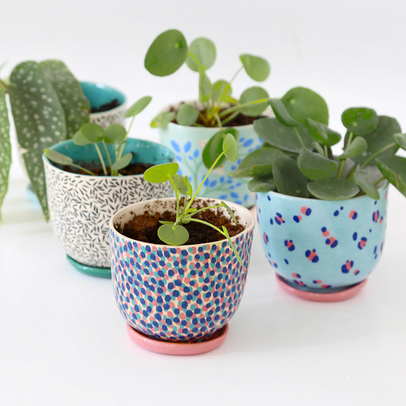 "Carnival" pot + matching plate