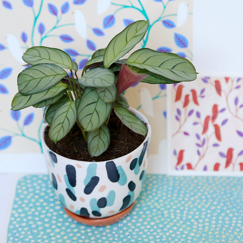 "Blue and pink dance" pot + matching plate
