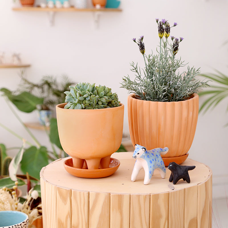 Large terracotta pot "Tuli" + matching plate