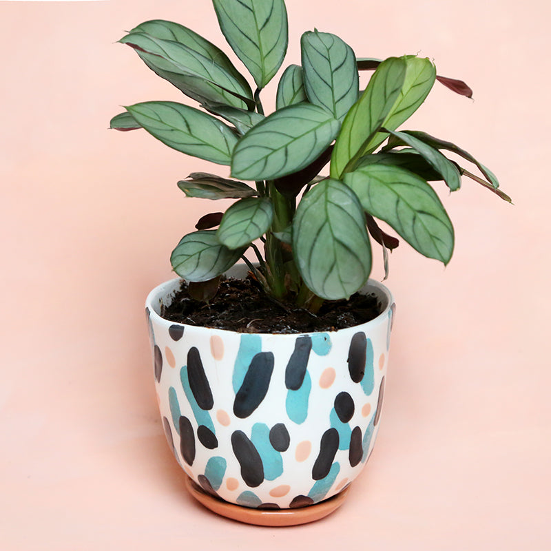 "Blue and pink dance" pot + matching plate